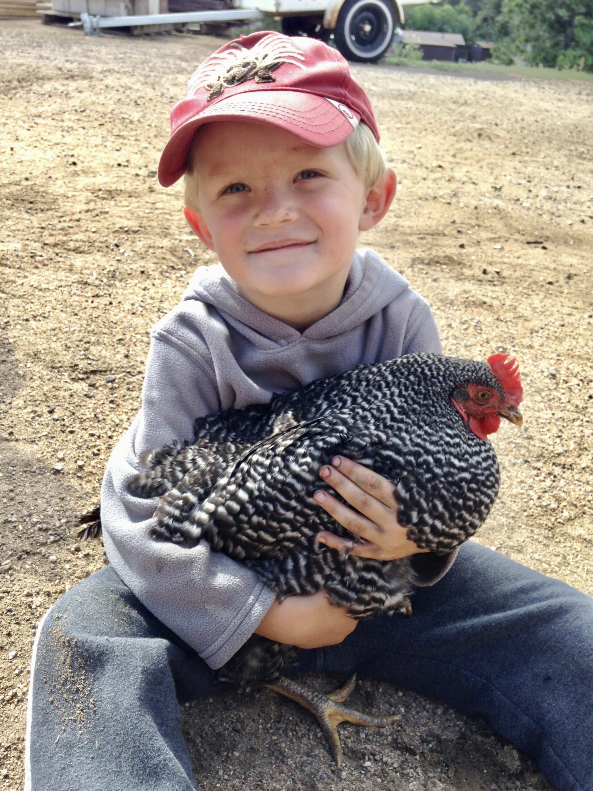 A young boy in a red cap sits on the ground holding a black-and-white speckled chicken.