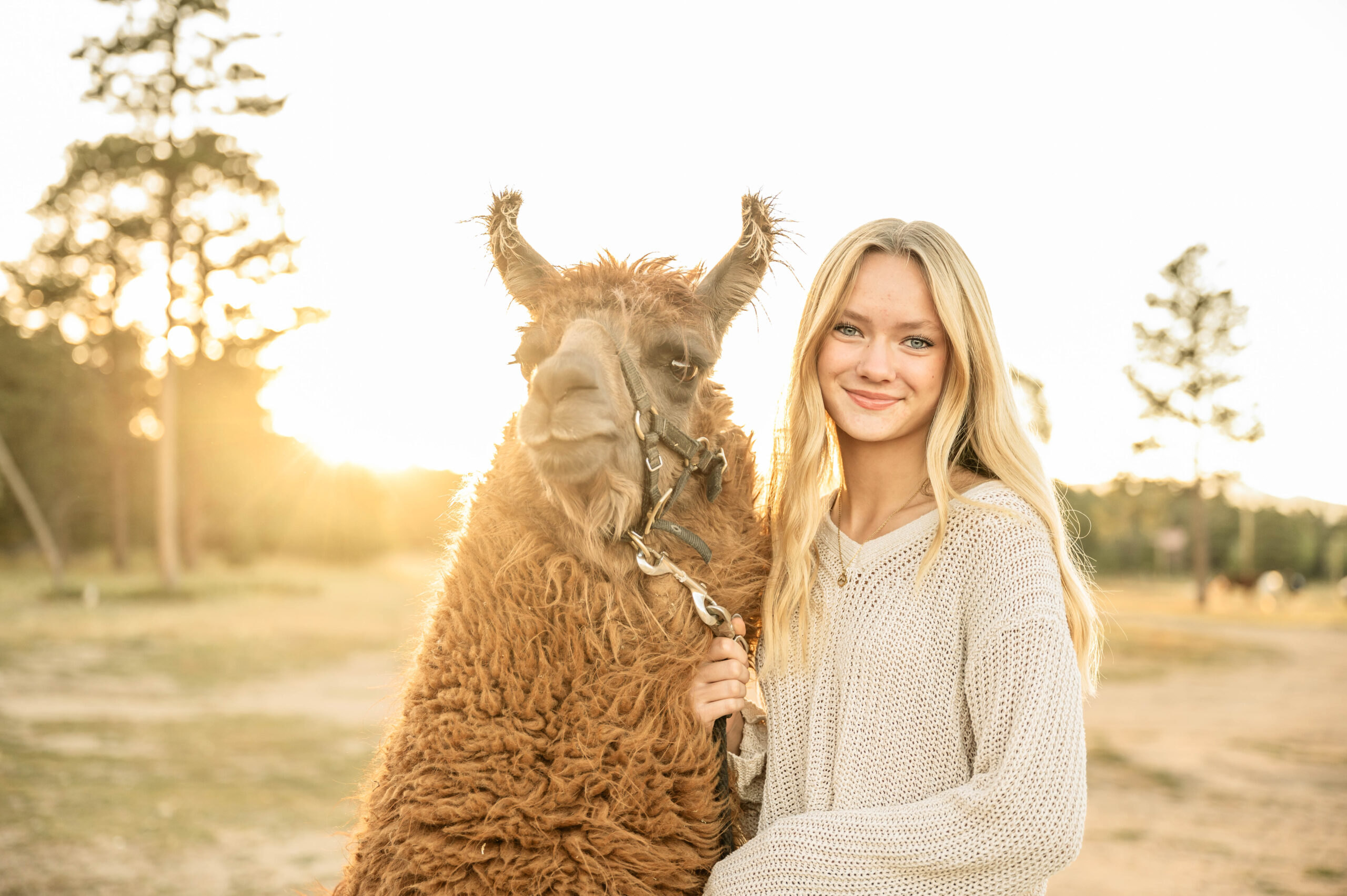A young woman with long blonde hair stands outdoors next to a brown llama, holding its leash, with sunlight shining in the background.