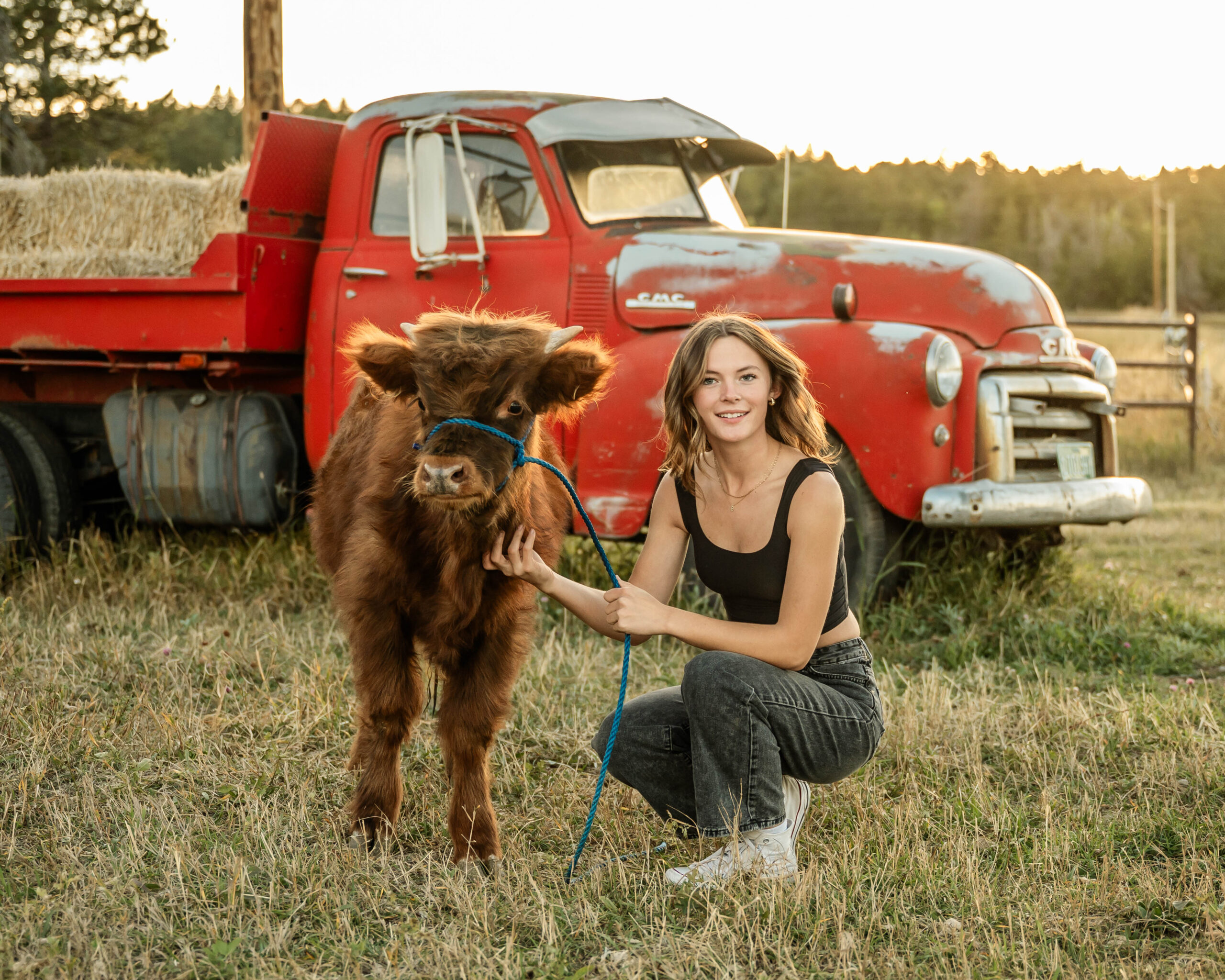 A woman kneels in a field next to a small brown calf on a leash, with an old red pickup truck and hay bales in the background.